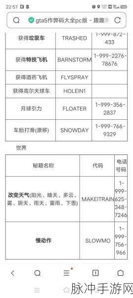 Steam版GTA5秘籍使用指南,安全畅玩不封号攻略