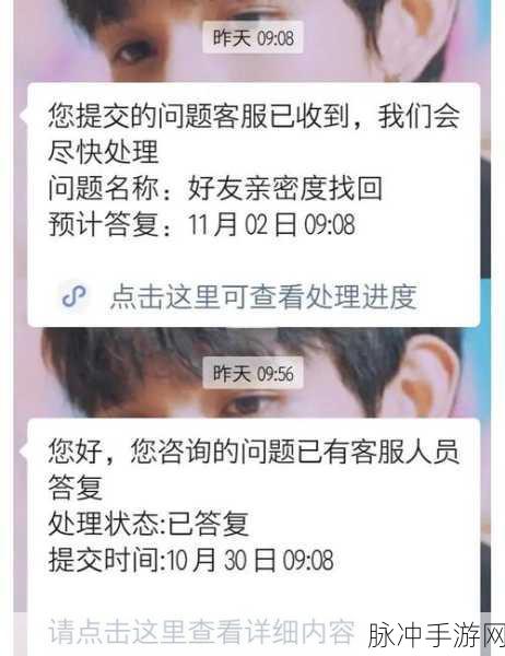 王者荣耀亲密度删除了,别担心,还能恢复吗?全面解析攻略
