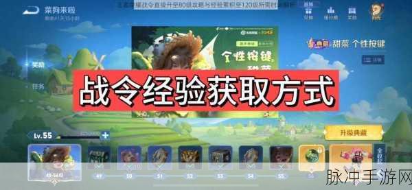 王者荣耀荣耀战令等级清零机制详解与攻略