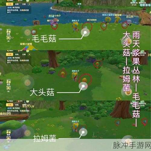 摩尔庄园大头菇获取方法与分布位置全攻略详解
