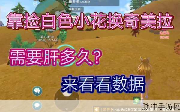 创造与魔法游戏最新揭秘，橙色小花最多产地，金谷草原成热门采集点