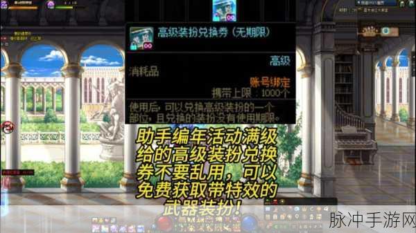 DNF23辅助,游戏中的智慧助手,助力玩家驰骋阿拉德大陆