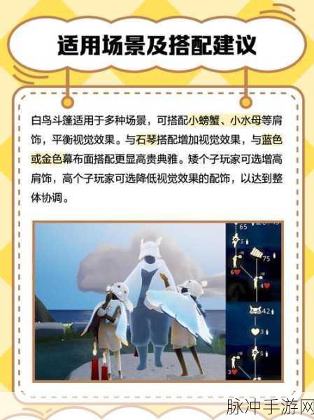 光遇世界探索，白鸟角色适合的斗篷搭配全攻略