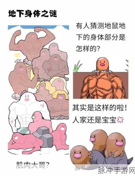 精灵宝可梦GO地鼠坐标揭秘,全面探寻最佳地点捕捉稀有地鼠攻略