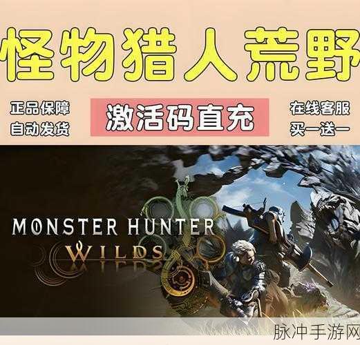 怪物猎人OL,粘合剂藏身何处?揭秘狩猎之旅的必备小物