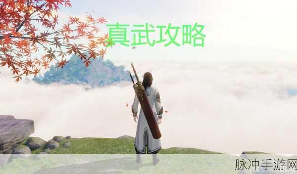 天涯明月刀手游真武职业力道流后期心法选择深度剖析与新策略揭秘