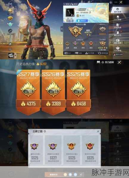 和平精英成神之路，揭秘隐藏徽章的获取奥秘