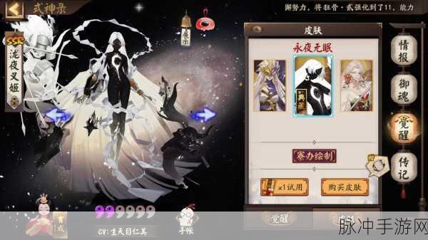 阴阳师平安京相识成就获取攻略,速刷方法与技巧全面剖析