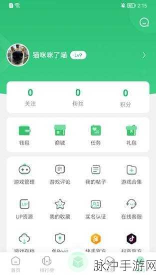 制造者游乐场7723手机版,解锁无限像素挑战的乐趣之旅