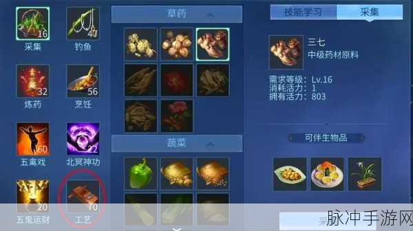 手游版倩女幽魂零元党攻略，医生与异人职业选择深度剖析