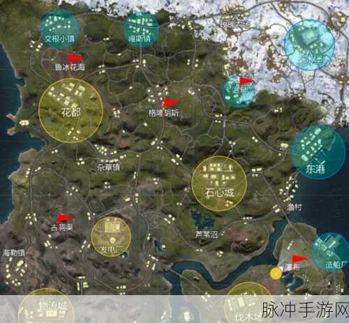 和平精英山谷地图深度玩法攻略，揭秘资源富集区