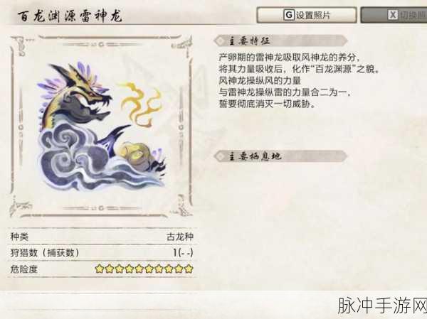 怪物猎人崛起，斩斧百龙孔位深度解析与实战攻略