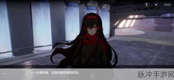 战双帕弥什深度攻略,露西亚·鸦羽升阶及专武培养优先级全解析