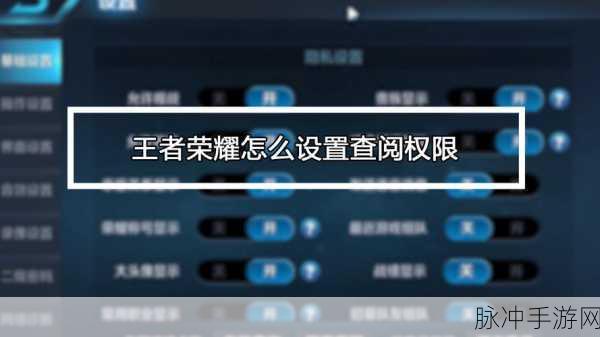 王者荣耀查阅权限设置全攻略，保护你的游戏隐私