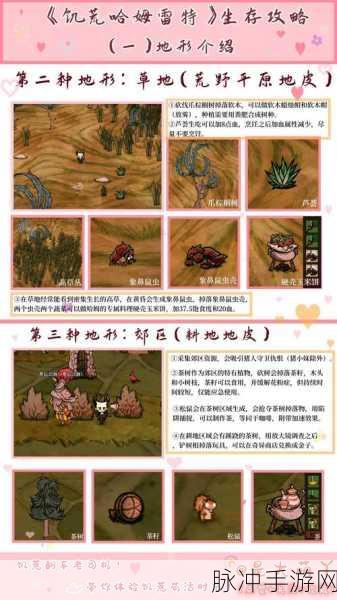 饥荒巨人国海滩哈姆雷特整合版，动作冒险生存游戏全攻略
