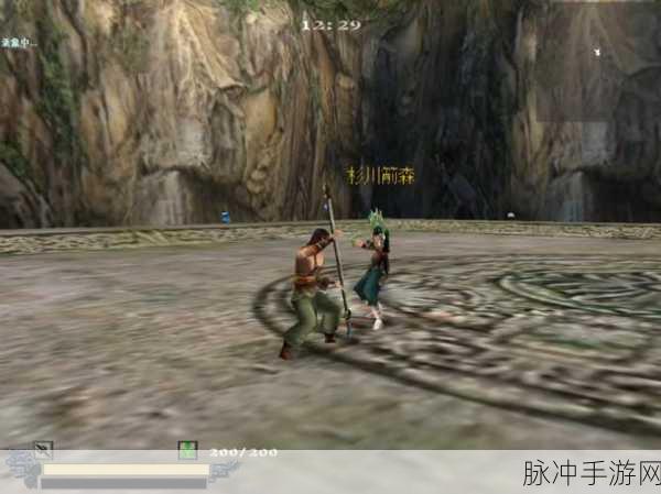 流星蝴蝶剑手游全技能解析,打造你的武学巅峰