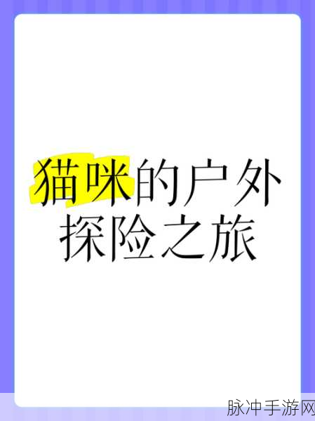 心动小镇探险指南,寻找小猫咪与温泉山的奇妙之旅