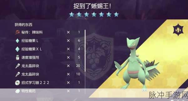 口袋妖怪复刻蜥蜴王配招全攻略,打造你的战斗利器