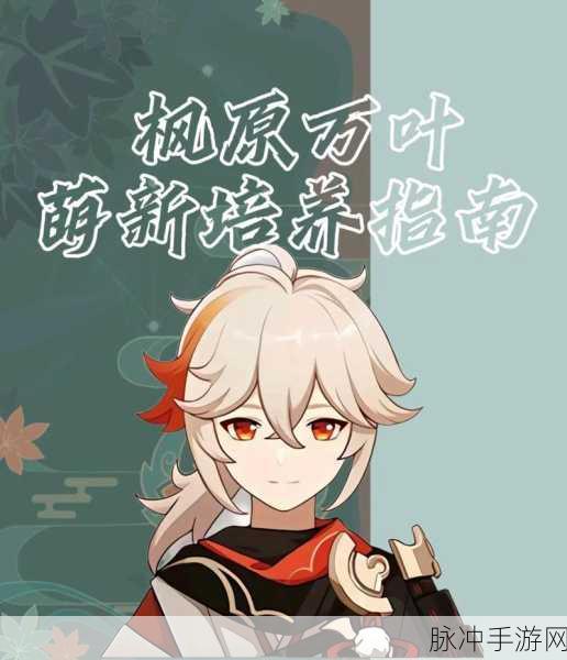 原神枫原万叶主C输出流玩法指南深度介绍