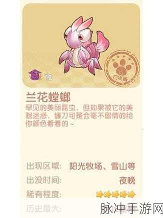 摩尔庄园昆虫捕捉全攻略，成为捕虫小达人的秘籍
