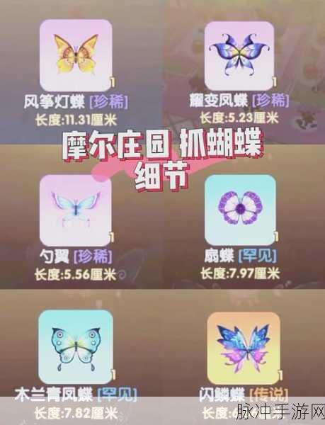摩尔庄园昆虫捕捉全攻略,成为捕虫小达人的秘籍