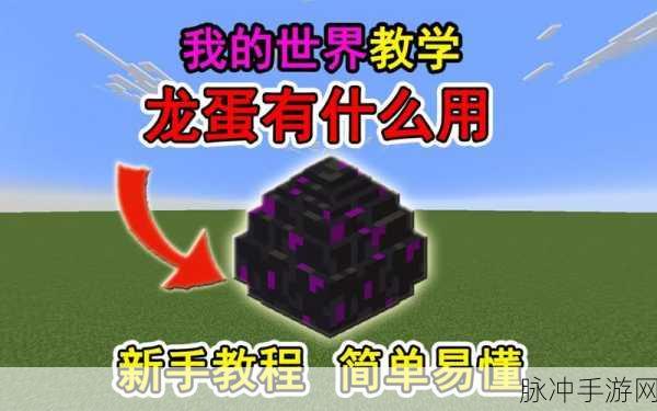 我的世界,揭秘单首恶龙孵化地形与秘密花园的奇妙之旅