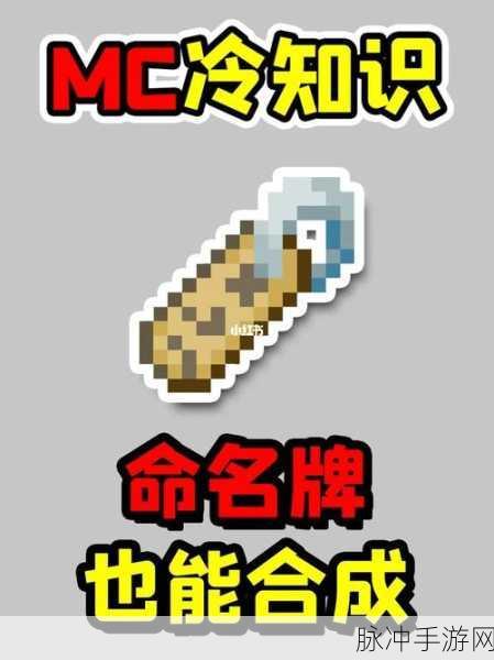 探索我的世界命名牌，解锁命名与追踪的奇妙之旅