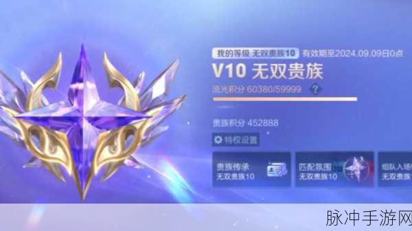 王者荣耀，深入解析王者的贵族系统及其特权