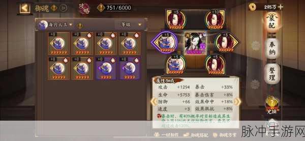 阴阳师手游攻略,姑获鸟御魂选择深度解析——针女与网切之争