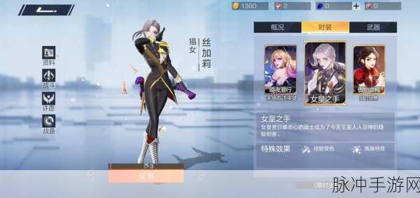 风云岛行动深度攻略，揭秘丝加莉锦囊的全体隐身奇效