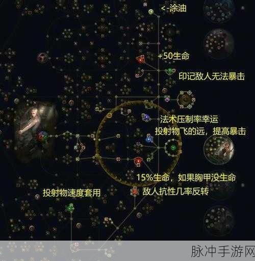 流放之路锐眼角色顶级永恒珠宝搭配攻略