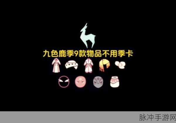 光遇季卡与副卡,深入解析两者的差异与选择策略