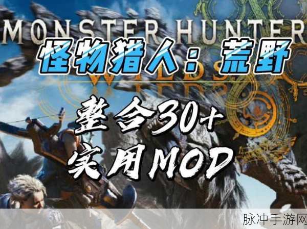 怪物猎人X,解锁新篇章修改补丁深度体验指南