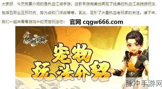 热血江湖手游攻略，揭秘宠物咕咕鸡的进化之路