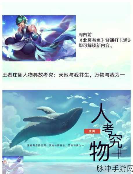 王者荣耀深度攻略，打造专属ID下的庄周游戏风采