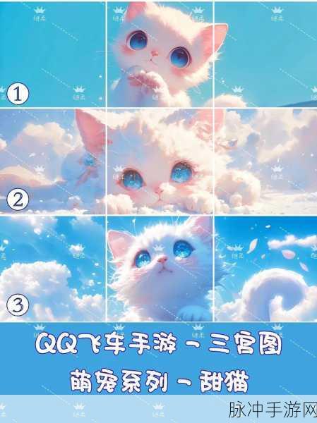QQ飞车宠物大揭秘，解锁萌宠的轻松秘籍