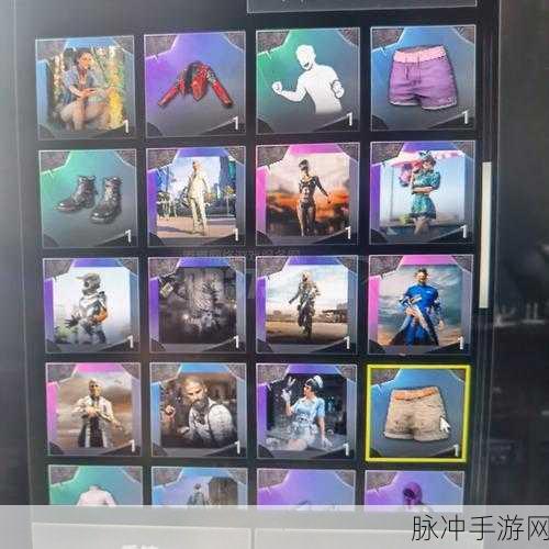 绝地求生VK套装获取全攻略,解锁稀有装备,称霸战场的终极秘诀!