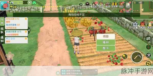 小森生活手游攻略,揭秘黑土地的神奇效用