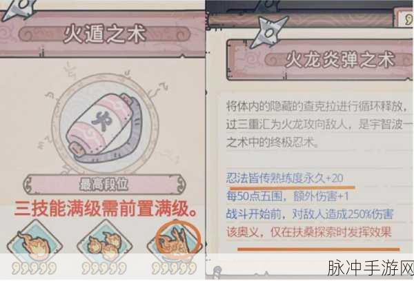 最强蜗牛全国家地图特性深度解析