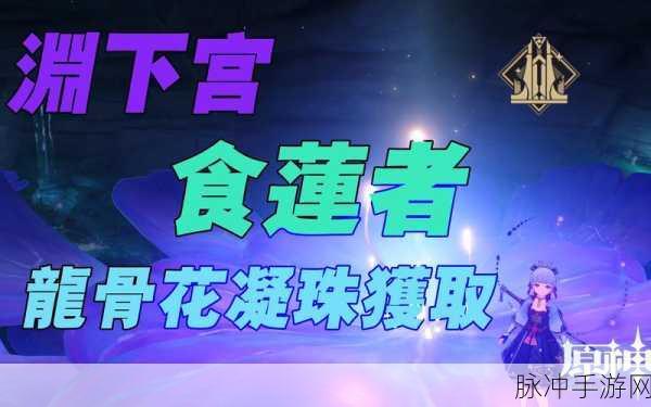 原神渊下宫隐藏任务全攻略,解锁龙骨花凝珠的奥秘