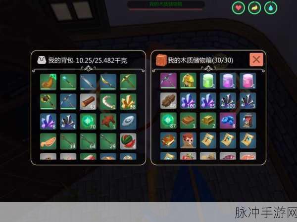 创造与魔法游戏内黑色陆行鸟的速度表现与资质条件深度剖析