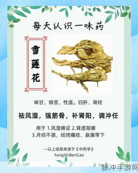 大千世界雪莲花获取攻略，极寒之地的珍贵药材