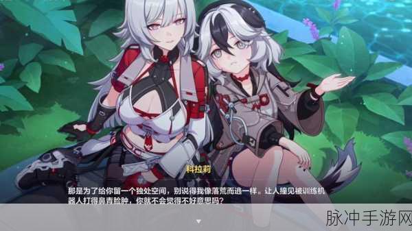 揭秘崩坏三，密令背后的热血与荣耀深度剖析
