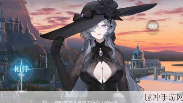 灵魂潮汐深度攻略,揭秘阿卡赛特的喜好礼物