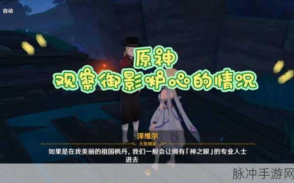 原神观察御影炉心的情况全面攻略