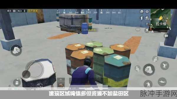 和平精英决赛圈攻略，掌握关键策略，决胜瞬间夺取胜利之路