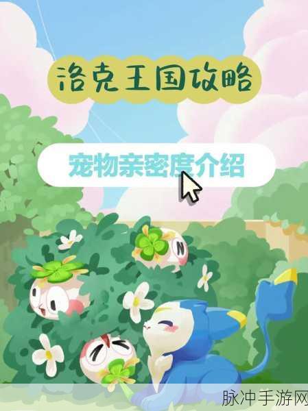 洛克王国深度攻略，小琮亲密度培养推荐全解析