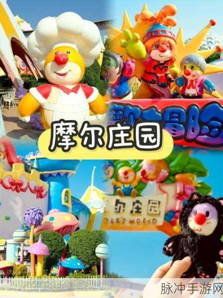 摩尔庄园里的企鹅小秘密,萌趣探险与实用攻略大揭秘