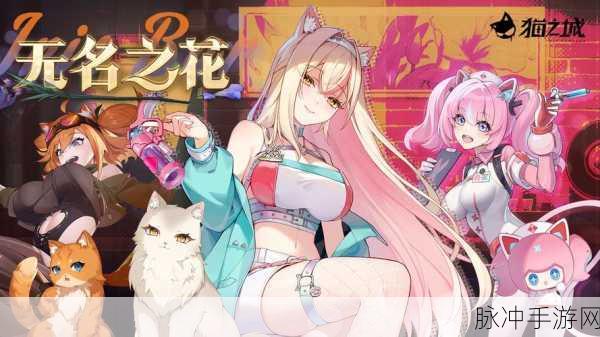 猫之城非天角色剧情深度解析与选择指南全攻略