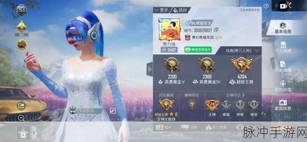 和平精英战绩查询攻略，QQ平台详细步骤解析